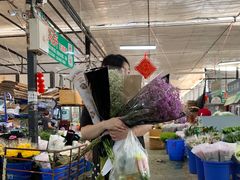 -三圣花乡旅游区