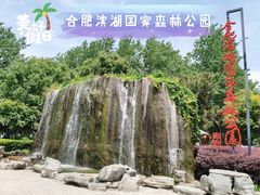 -合肥滨湖国家森林公园