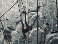 -武汉动物园