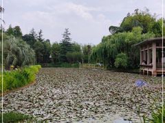 -昆明植物园