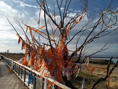 -青海湖二郎剑景区