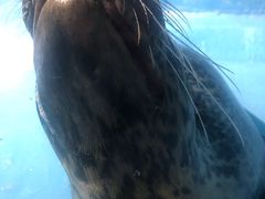 -重庆欢乐海底世界