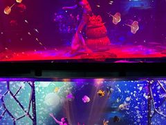 -顺德南宏海立方海洋公园