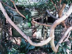 -可伦宾野生动物保护区