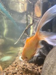 -酷嗒动物文化乐园(cutezoo西溪乐天城店)