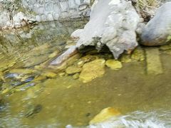 -黑河国家森林公园