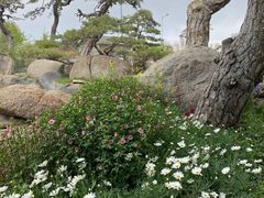 -罗红摄影艺术馆