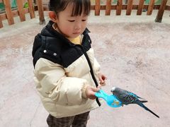 -杭州开元森泊度假乐园