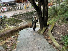 -林坑古村落
