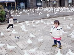 -绵阳人民公园(涪城区)