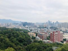 -福道