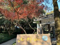 -山外山菜馆(玉泉路店)