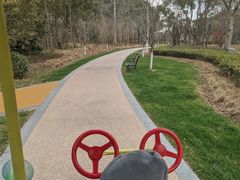 -昆山城市生态森林公园