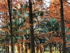 -苏州河梦清园环保主题公园