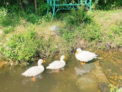 -HERRE·FARM 赫尔露营农场·团建聚会包场