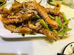 椒盐威海皮皮虾-威海渔村(静安旗舰店)