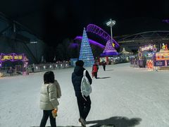 -沈阳奥体冰雪嘉年华