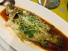 -海皇食府(水都假日酒店店)