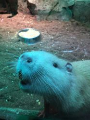 -酷嗒动物文化乐园(cutezoo西溪乐天城店)