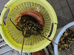 -小海豚•老字号海鲜餐厅(天涯店)