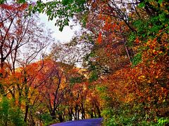 -松花湖风景名胜区