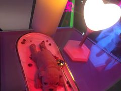 -甜喵酒吧(茂业店)