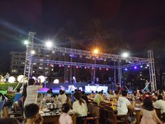 -渔家火锅·海鲜自助餐·演艺(亚龙湾天域酒店)