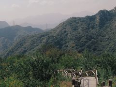 -大岭沟猕猴桃谷风景区