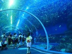 -成都浩海立方海洋公园