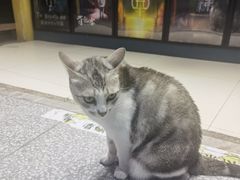 -谜盒子奇幻密室(南屏店)