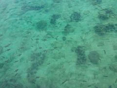 android_upload_pic-东姑阿都拉曼海洋公园