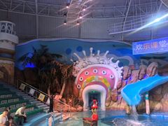 -烟台海昌鲸鲨海洋公园