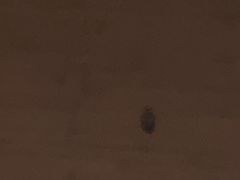 -全季酒店(成都九眼桥店)