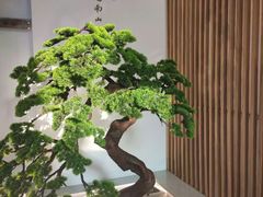 -蜜桃餐厅·伴山(湖滨商业街店)