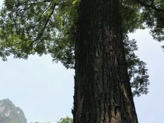 -北京上方山国家森林公园