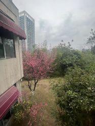 -金芙美月子中心(财富别墅店)