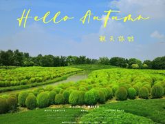 -花开海上生态园