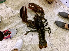 -蚝专家(北滘店)