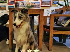 -慢遊咖啡(下坝坊店)