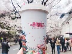 -鸡鸣赐茶(鸡鸣寺路店)