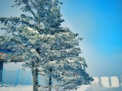 景点-亚布力新体委滑雪场