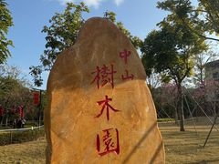 -中山市树木园