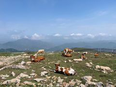 -灵山