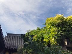 -宛平九号