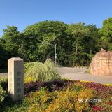 南京人很有福这个城市，有山有水