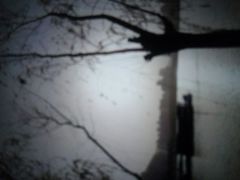 -天鹅湖体育公园