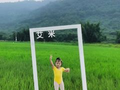 -艾米稻香小镇