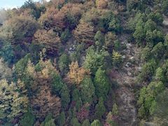 -山西壶关太行山大峡谷旅游景区
