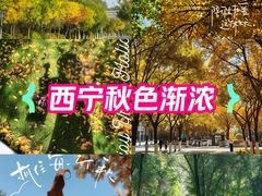 -西宁市人民公园(城西区)