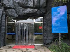 -北京周口店北京人遗址博物馆